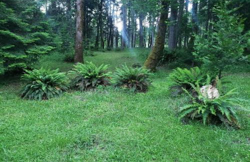 Madrone Hideout - decked out bus! - Foto 6