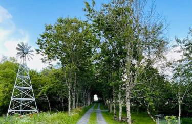 The Field Room - Hut on The Lizard - Foto 20