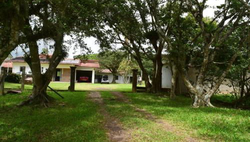 Recanto Bamboo Verde - Foto 3