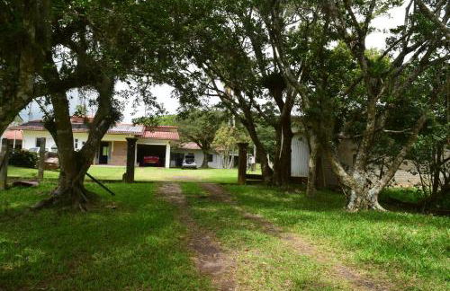 Recanto Bamboo Verde - Foto 3