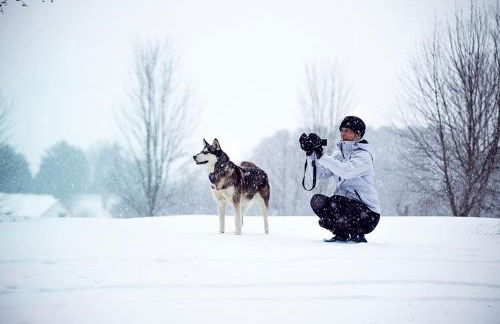 Charming Glamping Rental with Fireplace near Great Smoky Mountains National Park - Foto 15
