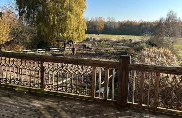 Cottage am Rosencarree - Foto 18