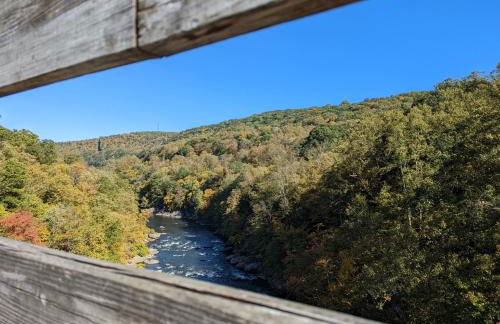 Stay In Ohiopyle near everything including the trail, Ohiopyle PA - Foto 39