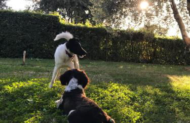 Casa Vacanze Bicchi - Photo 34