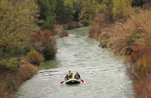 APARTAMENTO RURAL LA CANDELARIA - Foto 18
