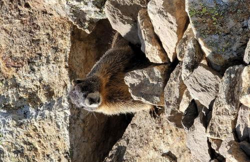 The Broadmeadow Cabin - VR-25-0005 cabin - Photo 55