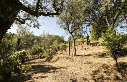 Tapadinho Nature and Pool - Countryside Villa - Foto 16