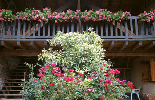 Turisme Rural Lo Pallé de Cal Bosch - Foto 50