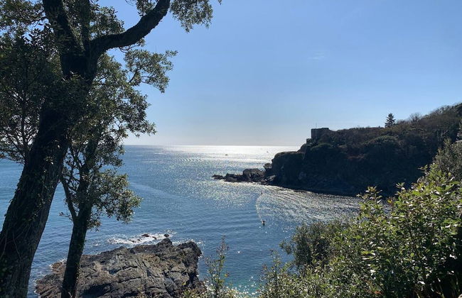 The Slipway Fowey Harbour, Parking 1 Min & Garden - Foto 35
