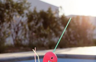 Corfu Garden Villas - Foto 17