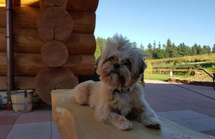 Ferienhaus ALhaus - Foto 49