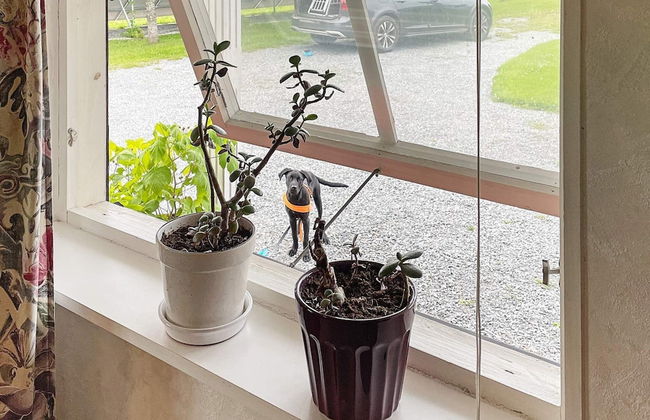 2 Person Holiday Home in Kil-by Traum - Foto 12