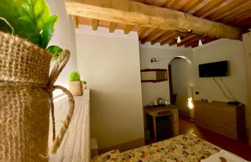 Agriturismo Montefabbrello - Foto 24