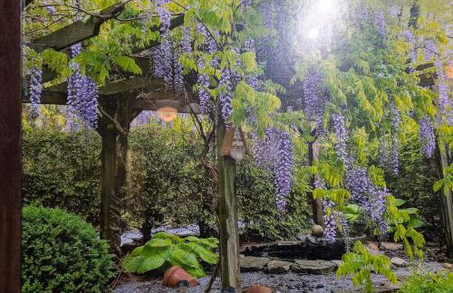 Rocky Knob Getaway - Foto 25