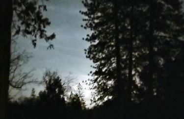 O'Brien's Oasis - Foto 27