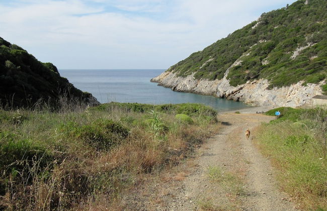 Gorgeous House Exclusive Location - Foto 12