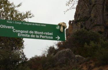 Apartaments La Pertusa 2o - Foto 33