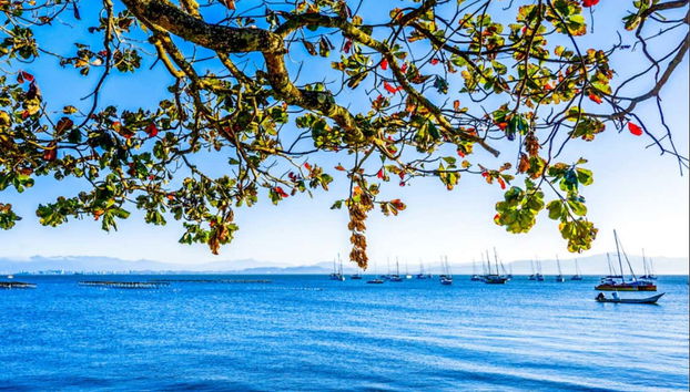 Praia de Santo Antônio de Lisboa