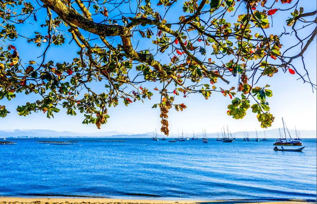 Tour de Santo Antônio de Lisboa ao entardecer - Foto 4