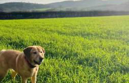 Hot tub - Number 37 - Foto 29