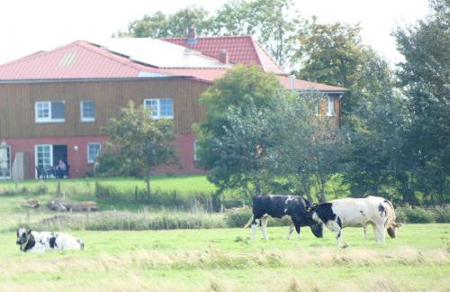 Schäferhof Dircks Fewo 3 - Foto 31