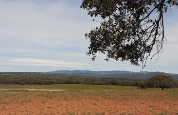 Casa das Rosas - Foto 35