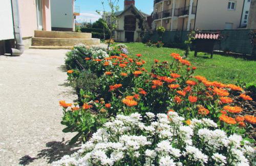 Apartman Petra - Photo 12