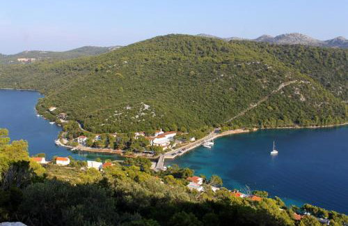 Apartments by the sea Pasadur, Lastovo - 8351 - Foto 25