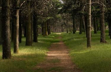 Casa rural Valtravieso - Photo 21