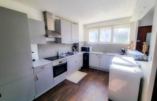 Duplex à 2 pas de l'aéroport, proche ONU & Palexpo - Foto 3