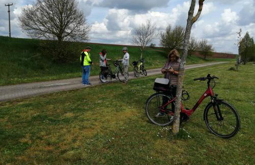 Ferienwohnungen Waldmann - Foto 10