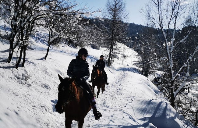 Jaworki Green Dream - Foto 74