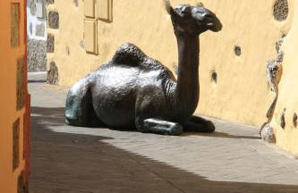 Villa la Atlantida - Photo 60