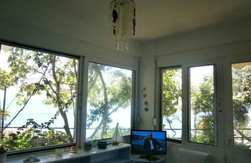 LEMONELIA, one big,4-5 people and one small apartment ,2-3 people - Foto 5