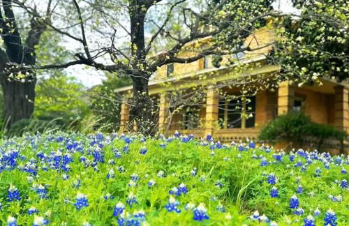 The Bonnet House - Photo 40