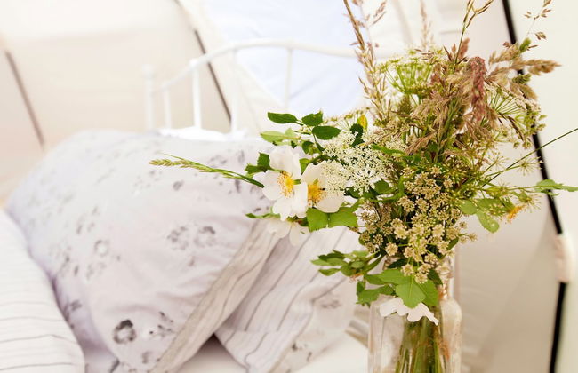 Star Gazing Bell Tent Farm Stay - Foto 3