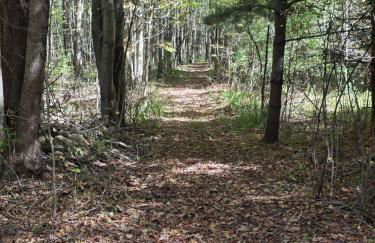 New Home with Game Room and Nature Trails in Port Huron - Photo 8