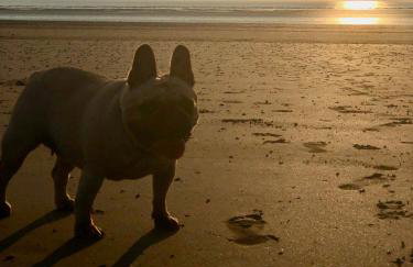 Ocean Drive Deluxe Apartment with complimentary Day Time Beach hut - Foto 41