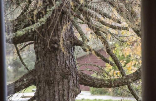 Crowlin Lodge - Foto 9