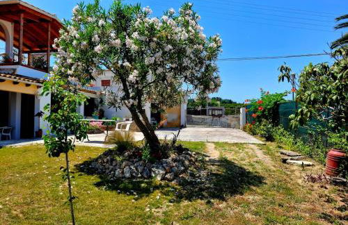 Andreas' Guest House - Foto 43