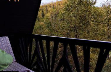 UNDER THE GREEN ROOF - Foto 39