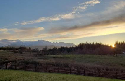 Toradh Cabin - Photo 20