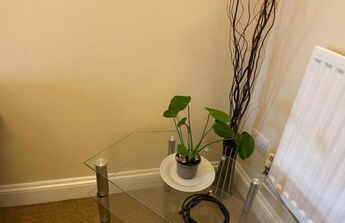 Cosy entire flat - Photo 26