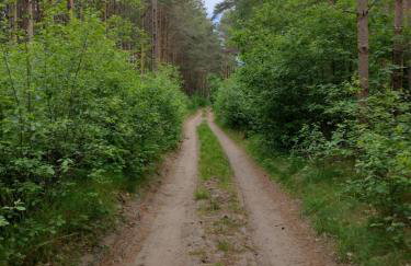 Zielone Zacisze - Foto 35