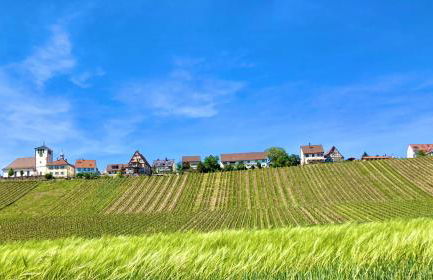 Komforthaus Gartenfreude - Foto 1