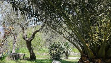 casa Dani - accogliente appartamento - Foto 2, Garden, Garden view