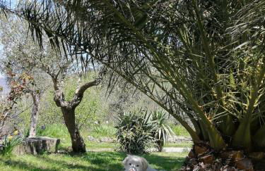 casa Dani - accogliente appartamento - Foto 2