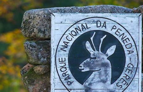 Caminho Gerês - Heritage Eco-Cottage - jacuzzi - Foto 54