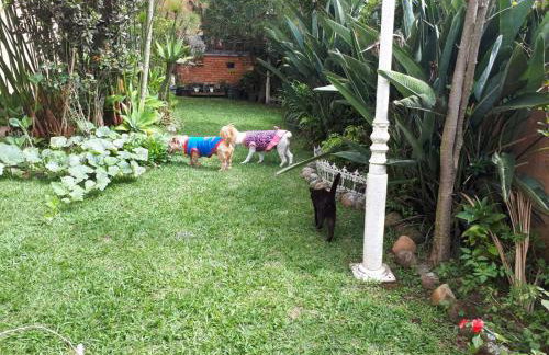 Suíte com vista da Serra - Foto 16