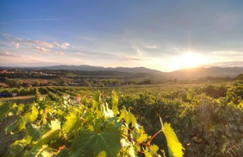 Fattoria Casagrande - Foto 41